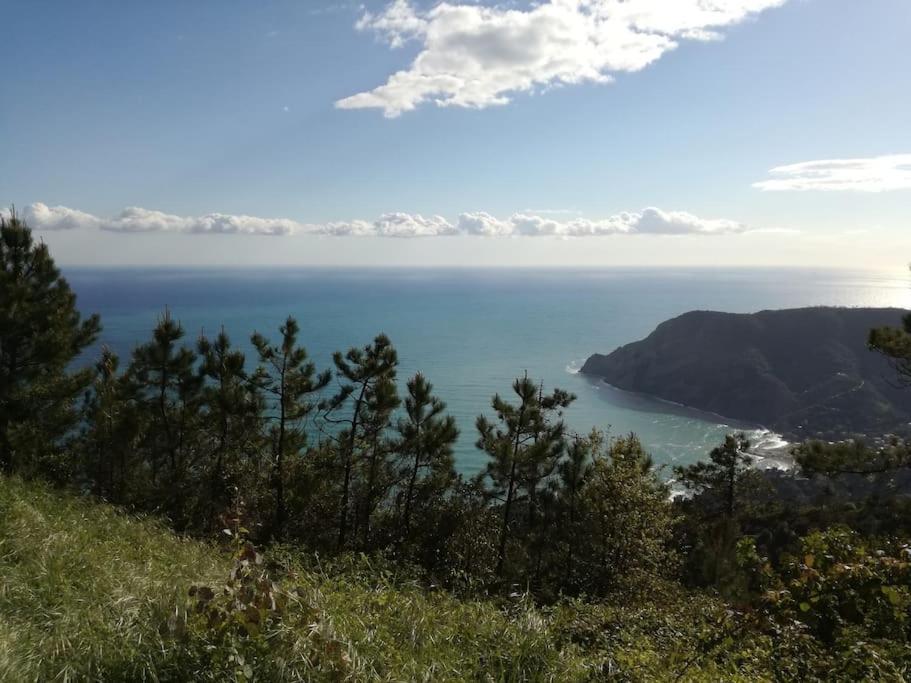 Quiet And Cozy Home With Wi-Fi Casa Prearino Vernazza Buitenkant foto